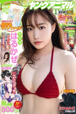 重案六组第一部